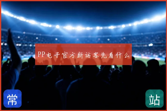 PP电子官方新访客先看什么