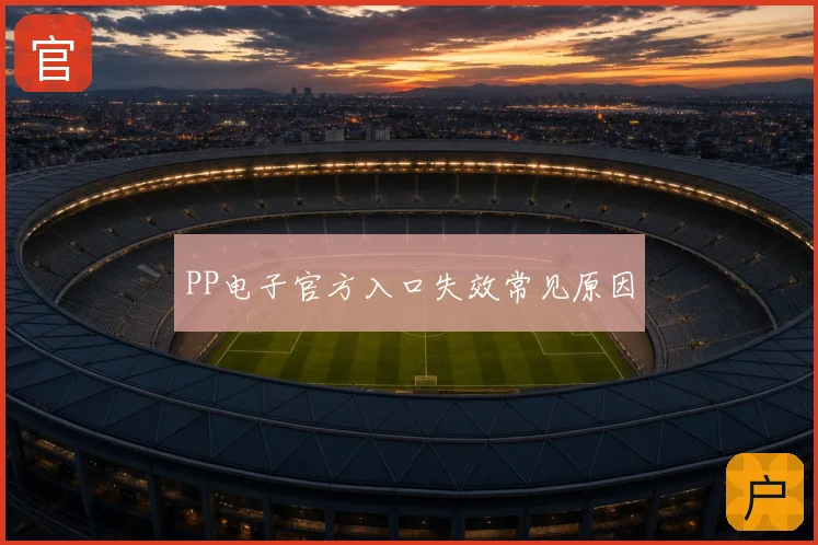 PP电子官方入口失效常见原因