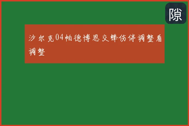 沙尔克04帕德博恩交锋伤停调整看调整